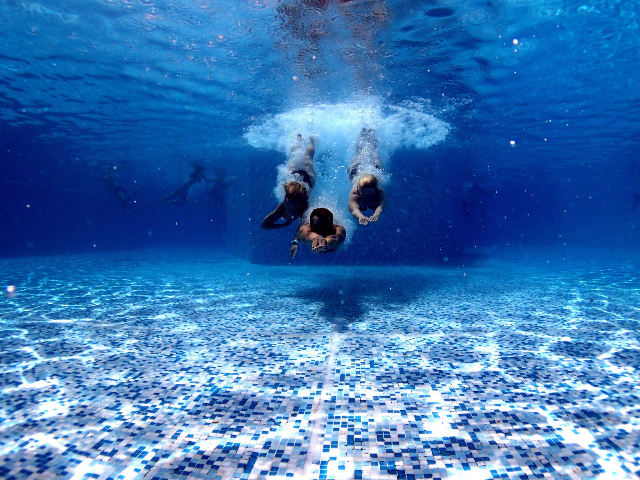 people diving into a pool