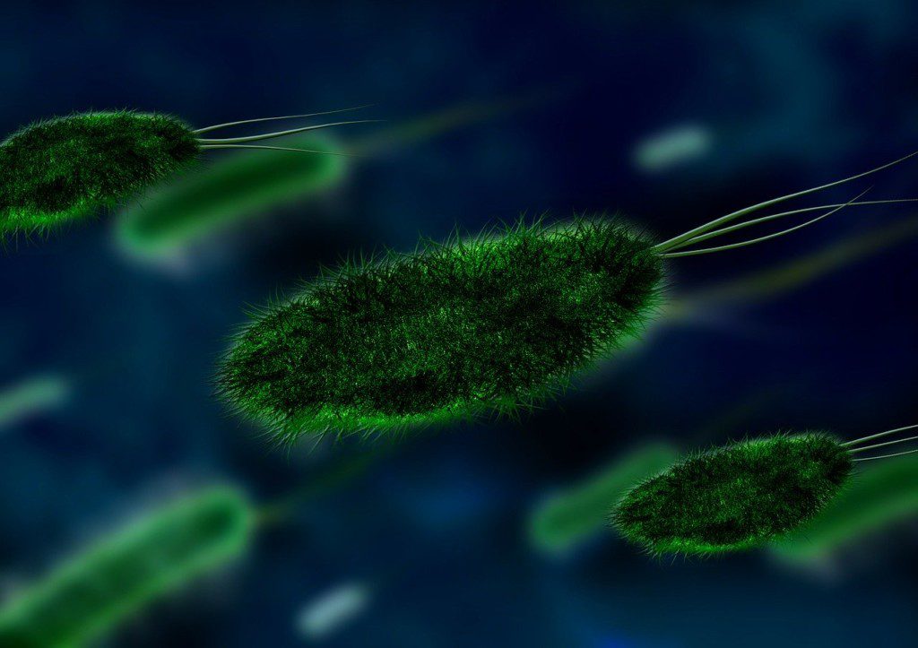 green bacteria moving