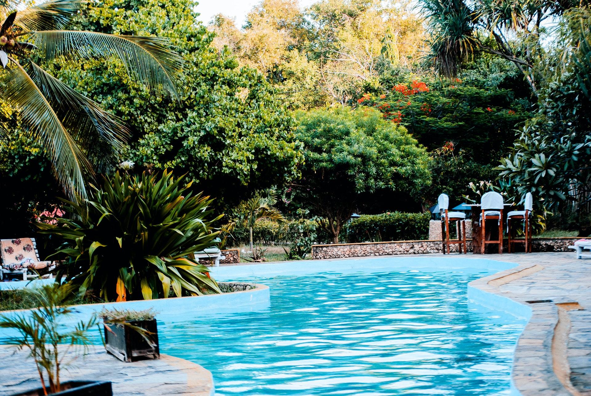 swimming pool backyard