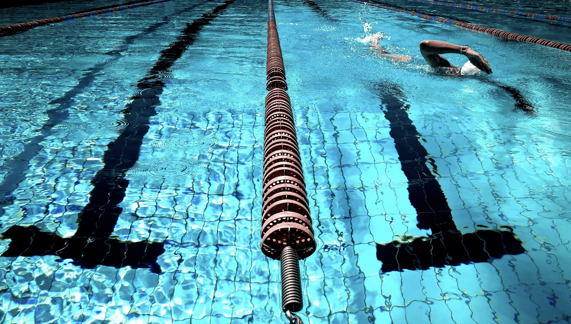 people swimming in pool