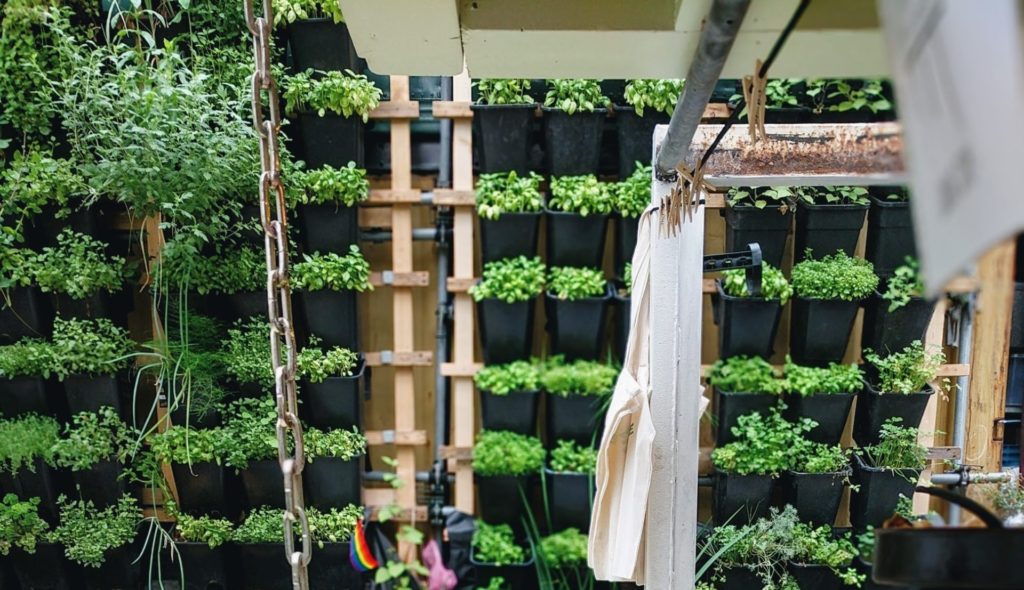 Vertical farm greenhouse