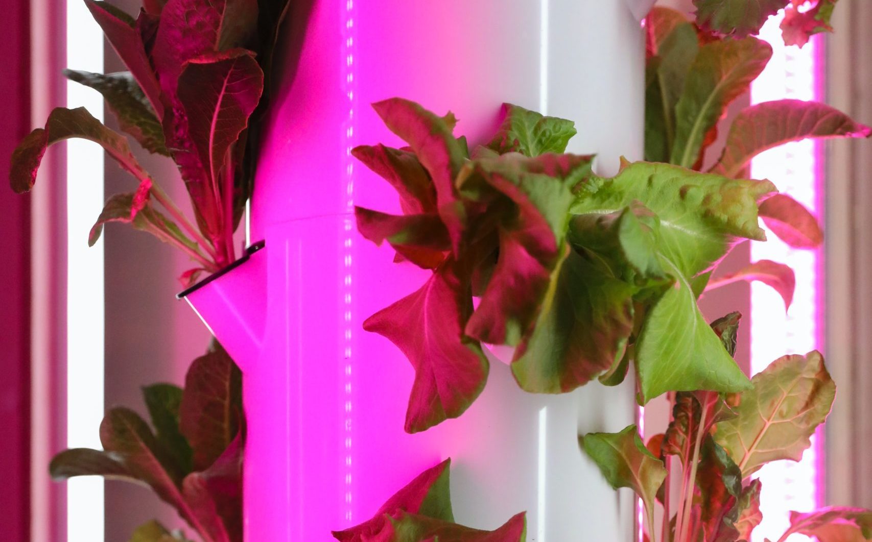 Vertical farming