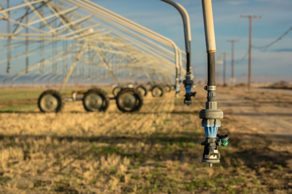 dried out hoses on a dying field